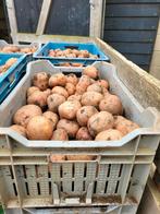 Aardappelen bildstar 0,60, Ophalen