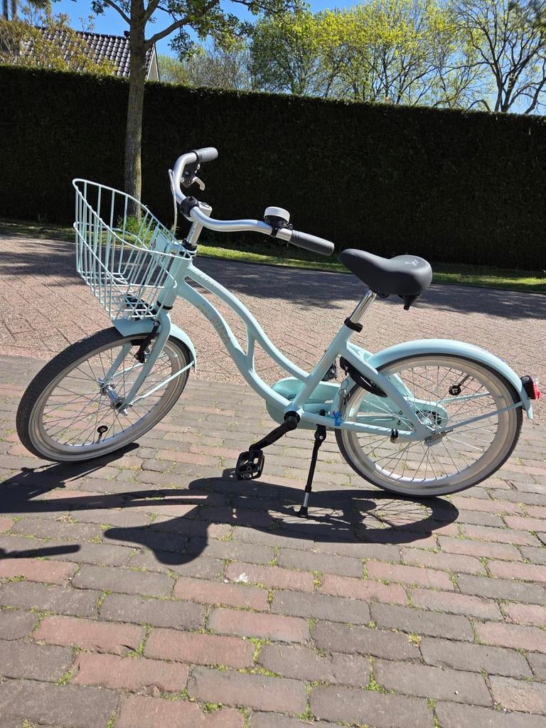 Alpina ocean 20 inch z.g.a.n., Fietsen en Brommers, Fietsen | Meisjes, Ophalen, Terugtraprem, Handrem, Zo goed als nieuw