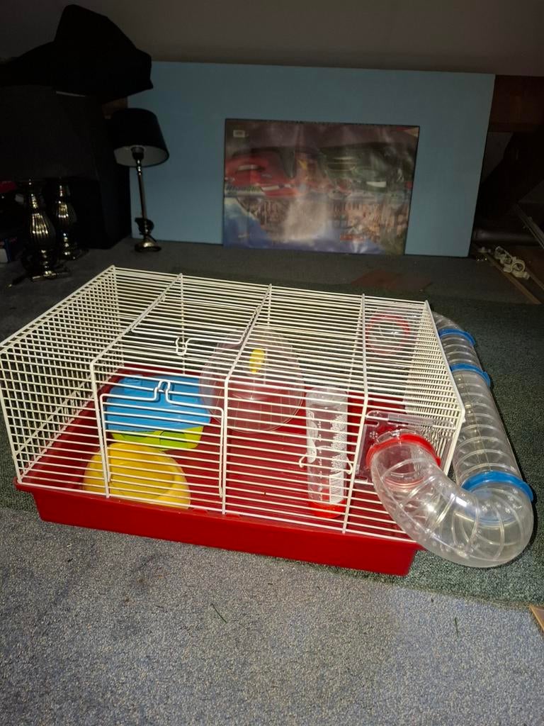 Hamsterkooi, Dieren en Toebehoren, Kooi, Gebruikt, Minder dan 75 cm, Hamster