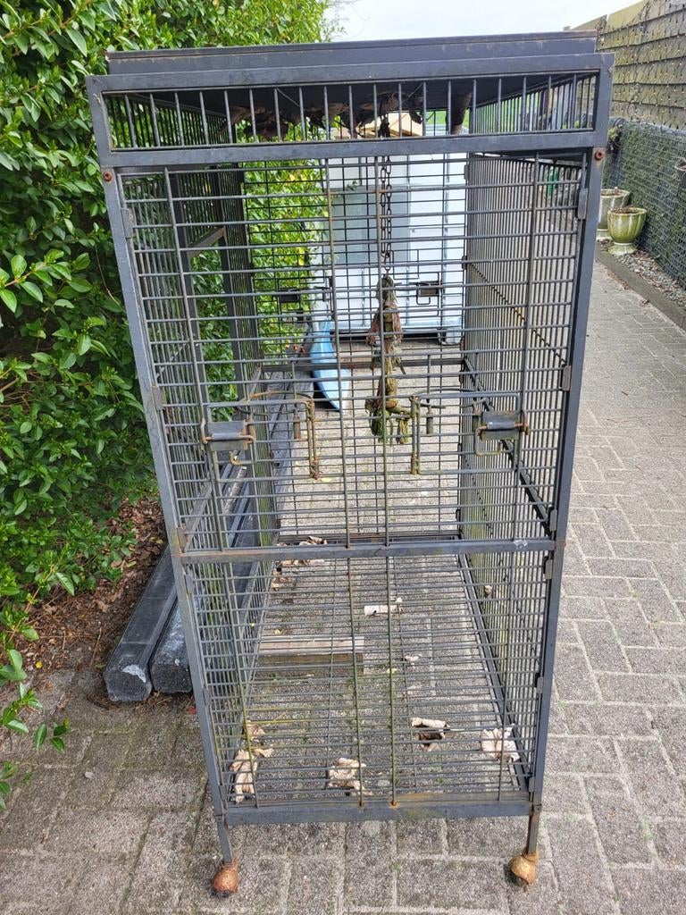 Parkietenkooi, Dieren en Toebehoren, Vogels | Hokken en Kooien, Ophalen, Gebruikt, Metaal, Vogelkooi