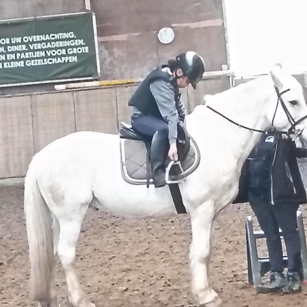 Verzorgpony/leasepony gezocht in Nijmegen, Dieren en Toebehoren, Ophalen of Verzenden, Nieuw