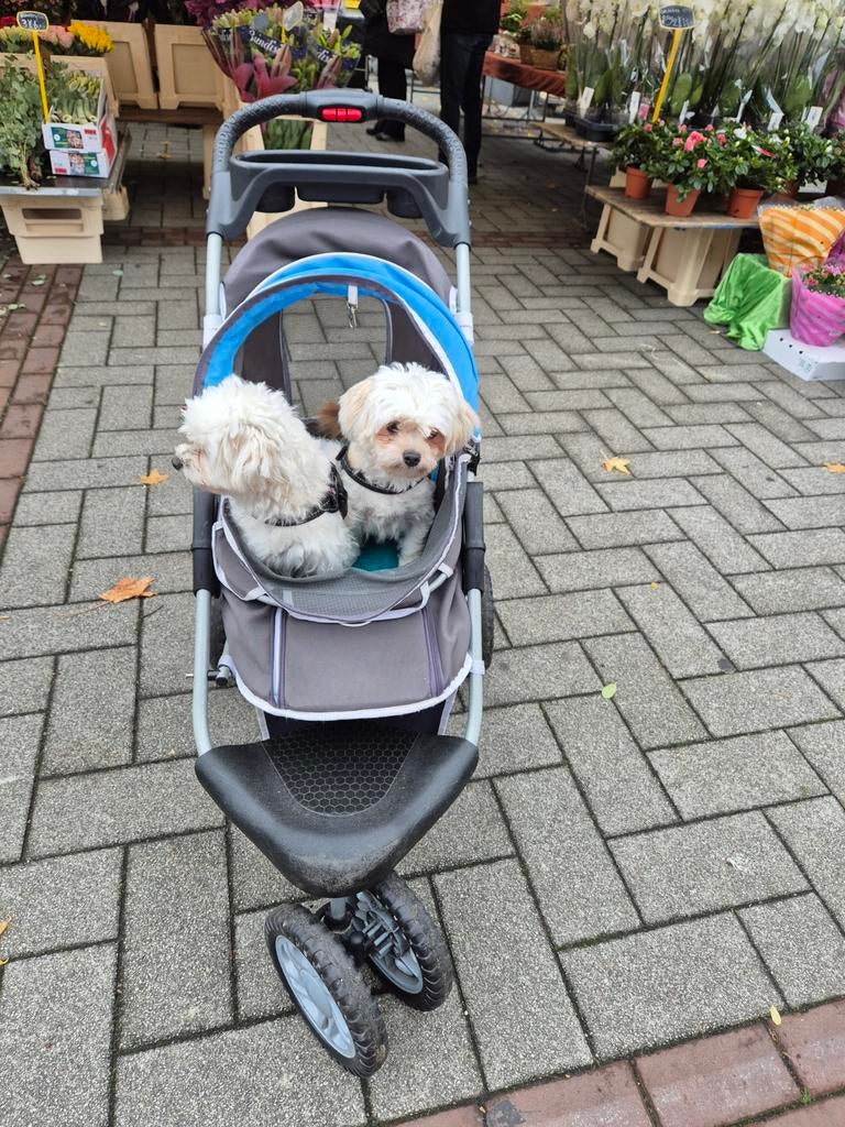 INNOPET  HONDEN BUGGY, Ophalen of Verzenden, Zo goed als nieuw