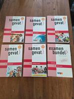 Examenbundels Samengevat VWO, Boeken, Ophalen of Verzenden, Beta, Zo goed als nieuw