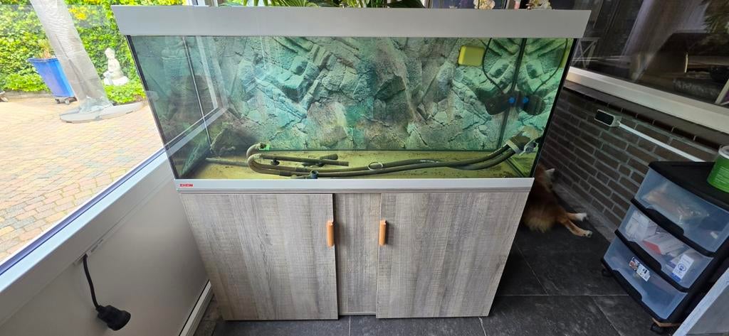 Tropisch aquarium, Ophalen, Plant(en), Steen of Hout