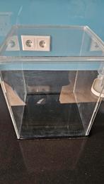 Display case., Ophalen of Verzenden