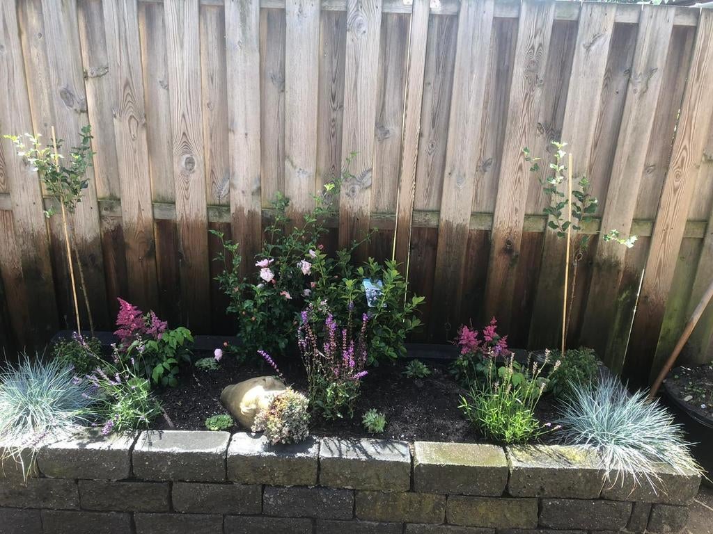 Borderstenen gratis af te halen, zittten wat cementdelen, Ophalen, Steen, Gebruikt, Minder dan 30 cm