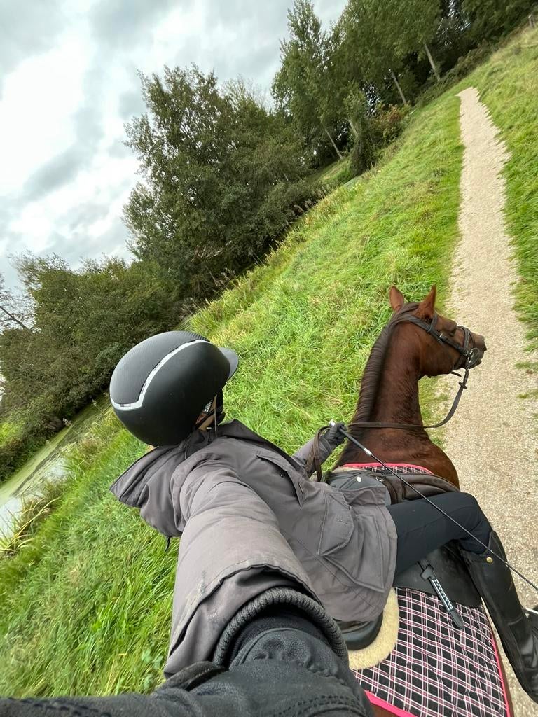 BIJRIJDER AANGEBODEN WESTERKWARTIER!, Dieren en Toebehoren, Ophalen of Verzenden, Nieuw