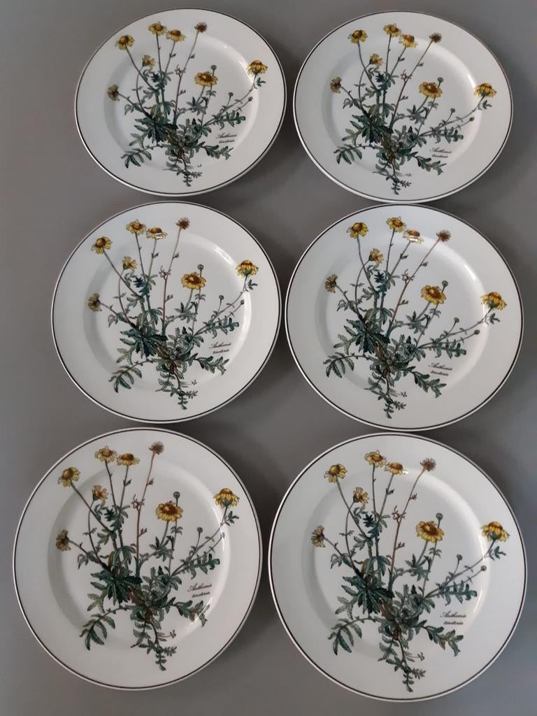 Dinerborden 24 cm Villeroy en Boch Botanica, 12 beschikbaar, Ophalen of Verzenden, Zo goed als nieuw, Bord(en), Overige stijlen