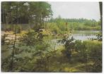 Hapert Het Vennenbos Gelopen Ansichtkaart ( C19 ), Verzenden, 1980 tot heden, Gelopen