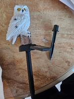 NIEUW. solar uil, Ophalen of Verzenden, Nieuw, Overige materialen, Dierenbeeld