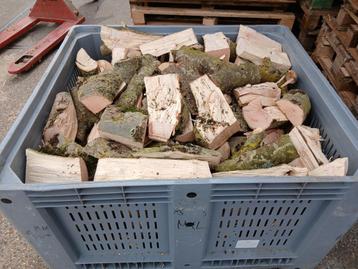 Essen Haardhout in Kist beschikbaar voor biedingen