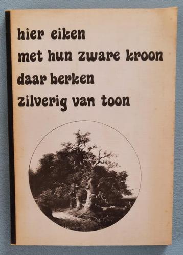 Hier eiken met hun zware kroon daar berken zilverig van toon beschikbaar voor biedingen