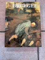 Bruegel kunstboek hardcover met stofkaft in nieuwstaat, Ophalen of Verzenden, Zo goed als nieuw, Schilder- en Tekenkunst
