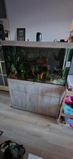 Aqualantis aquarium led + controler, Dieren en Toebehoren, Vissen | Aquaria en Toebehoren, Ophalen, Zo goed als nieuw, Leeg aquarium