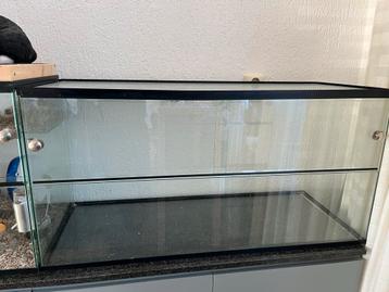 Queenies terrarium hamster 100 cm beschikbaar voor biedingen