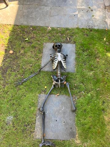 Nep skelet genaamd Henk beschikbaar voor biedingen