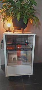 Luxe Omlet Qute Hamster/Gerbil Kooi + Extra’s!, Dieren en Toebehoren, Minder dan 60 cm, Kooi, Gebruikt, Minder dan 75 cm