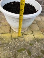Witte bloempot met waterreservoir, Tuin en Terras, Bloembakken en Plantenbakken, Kunststof, Minder dan 30 cm, Minder dan 60 cm