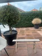 Landelijk bankje oud hout Be-unique 110x50x13 cm lxhxb, Huis en Inrichting, Ophalen, 25 tot 50 cm, Rechthoekig