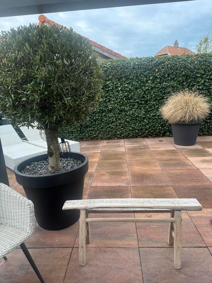 Landelijk bankje oud hout Be-unique 110x50x13 cm lxhxb, Huis en Inrichting, Tafels | Sidetables, 25 tot 50 cm, Rechthoekig, Ophalen