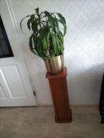 Plantenzuil kersen kleur massief hout  28 x80, Huis en Inrichting, Woonaccessoires | Zuilen en Pilaren, Ophalen, Zo goed als nieuw