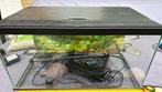 Mooie aquarium van 60cm breed, Dieren en Toebehoren, Vissen | Aquaria en Toebehoren, Ophalen of Verzenden, Zo goed als nieuw, Leeg aquarium