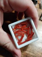 Coral takjes gepolijst, Verzamelen, Mineralen en Fossielen, Ophalen of Verzenden