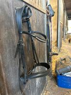 Hoofdstel full, Ophalen of Verzenden, Gebruikt, Dressuur