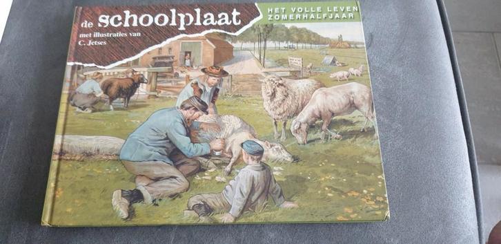 Schoolplaat het volle leven zomerhalfjaar, Boeken, Kinderboeken | Jeugd | onder 10 jaar, Zo goed als nieuw, Ophalen of Verzenden