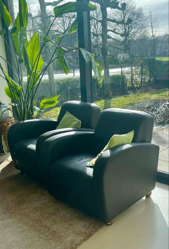T.e.a.b. Twee comfortabele lederen fauteuils, Huis en Inrichting, Fauteuils, Gebruikt, Leer, 75 tot 100 cm, Ophalen