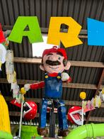 Mario attributen t.e.a.b. Afkomstig van een praalwagen, Hobby en Vrije tijd, Carnaval, Gebruikt, Ophalen