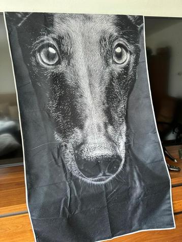 badlaken print windhond greyhound  beschikbaar voor biedingen