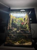 Groot paludarium, Dieren en Toebehoren, Reptielen en Amfibieën | Toebehoren, Ophalen, Zo goed als nieuw, Terrarium of Paludarium