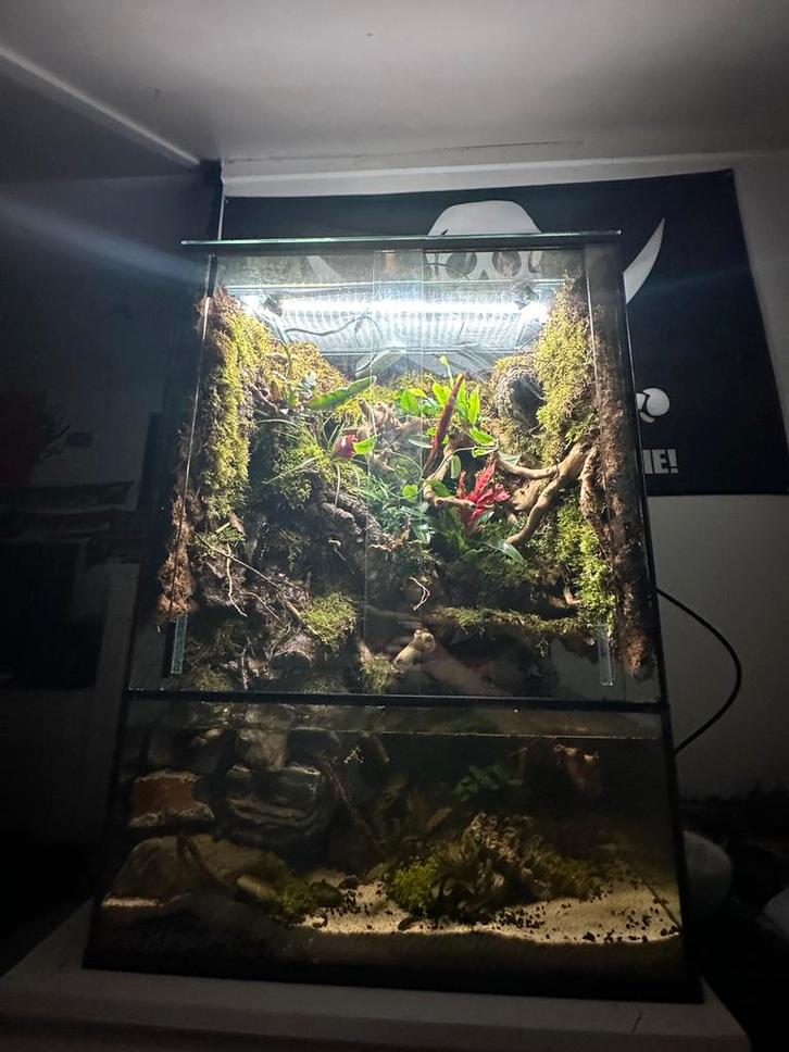 Groot paludarium, Dieren en Toebehoren, Reptielen en Amfibieën | Toebehoren, Zo goed als nieuw, Terrarium of Paludarium, Ophalen