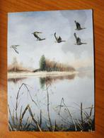 Ansichtkaart Goose Rob Hessels 7779, Ophalen of Verzenden