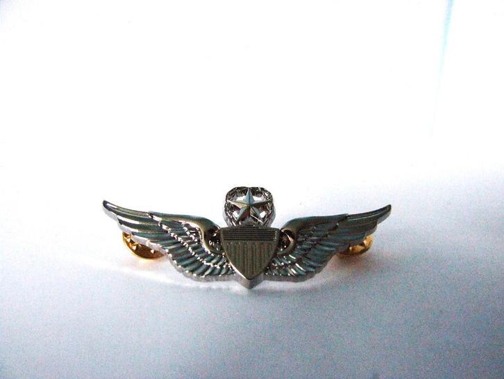 Embleem,Badge,USAF,Commanding,Pilot,Piloot,Side,cap, Verzamelen, Militaria | Tweede Wereldoorlog, Luchtmacht, Embleem of Badge