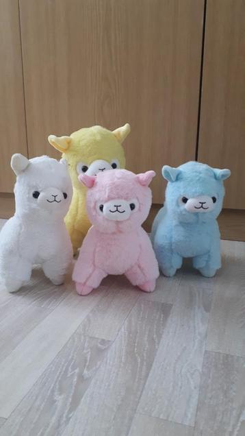 4 lama s beschikbaar voor biedingen