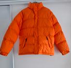 Maupiti Ski jas Dames - Broeken L/XL, Jas M, Ophalen of Verzenden, Gedragen, Broek