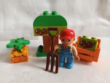 Duplo boer met appels en pompoen  beschikbaar voor biedingen