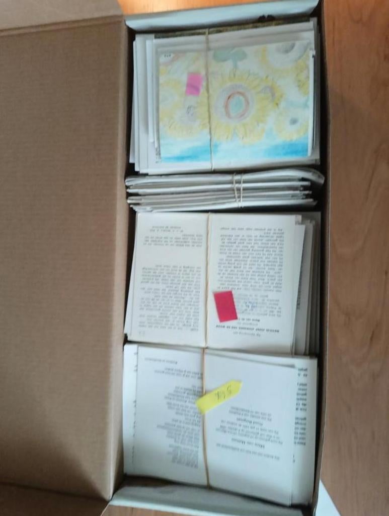Grote verzameling bidprentjes - 4500 stuks, Ophalen, Bidprentje