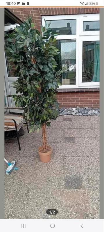 Kunstboom voor binnen en buiten beschikbaar voor biedingen