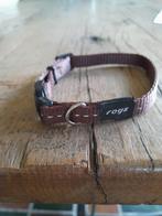 Halsband kat bruin Rogz verstelbaar, Dieren en Toebehoren, Ophalen of Verzenden, Zo goed als nieuw