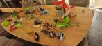 Heel veel Playmobil: huis, dieren,draak, piraten, schoolbus, Ophalen, Gebruikt