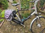 giant twist, Fietsen en Brommers, Ophalen, Gebruikt, Overige merken