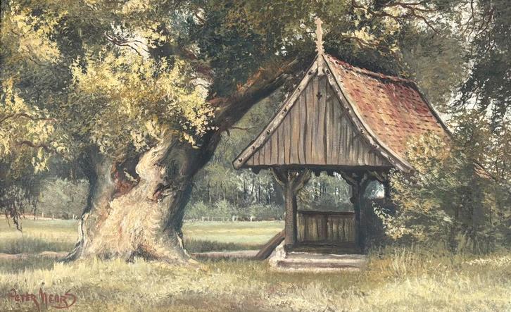 Oudste zomer Eik van Nederland, Tuin en Terras, Planten | Bomen, Overige soorten, Volle zon, Verzenden