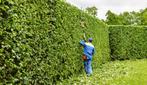 GEZOCHT: Heg snoeien, Ophalen, Overige soorten, Haag, 250 cm of meer