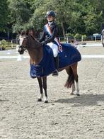 Mooie lieve c pony, Dieren en Toebehoren, Pony's, Merrie