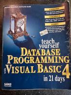 Database Programming VB4 - Leerboek, Boeken, Informatica en Computer, Ophalen of Verzenden, Gelezen, Programmeertaal of Theorie