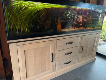Aquarium compleet met inhoud 215 cm met eiken dressoir beschikbaar voor biedingen