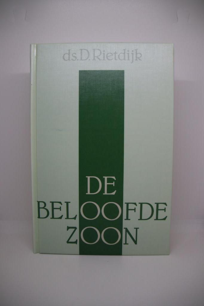 De Beloofde Zoon - D. Rietdijk, Boeken, Godsdienst en Theologie, Zo goed als nieuw, Ophalen of Verzenden